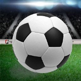 334:COM-WWW:334:COM